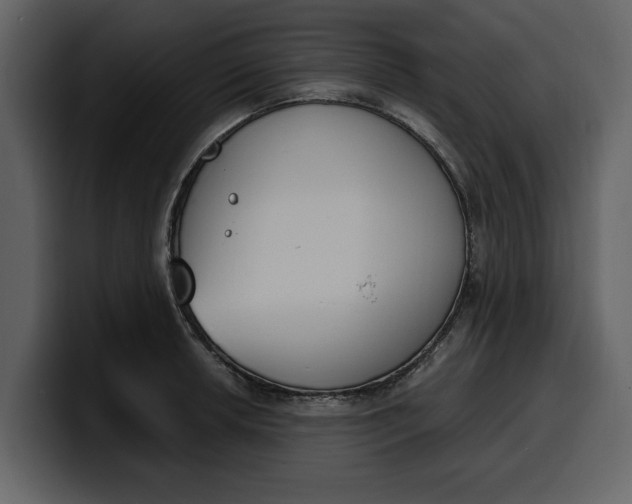 X0000100321042200806190959