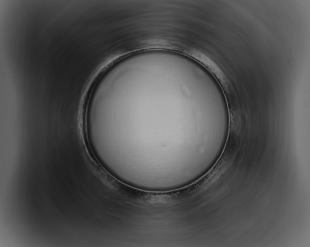 X0000100321043200806190959