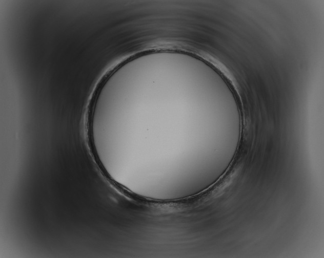 X0000100321045200806190959