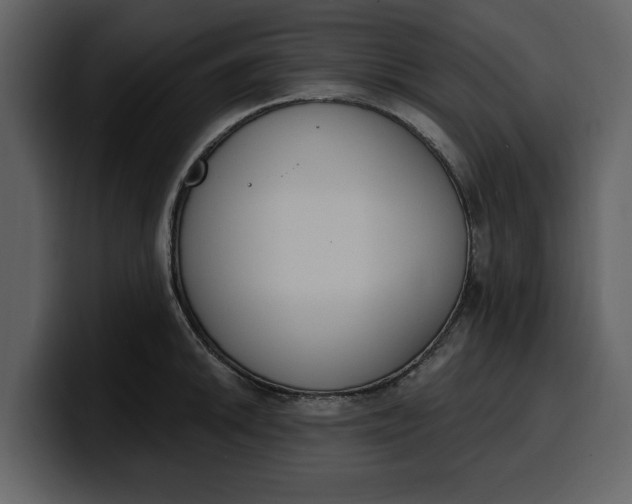 X0000100321046200806190959