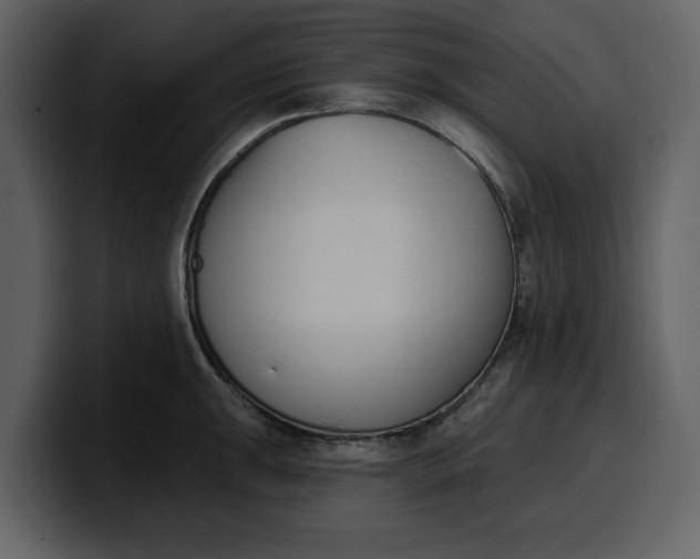 X0000100321047200806190959