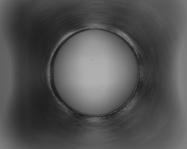 X0000100321048200806190959