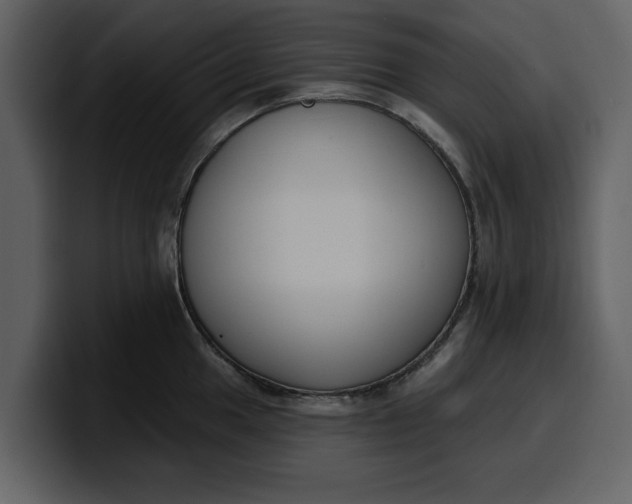 X0000100321049200806190959