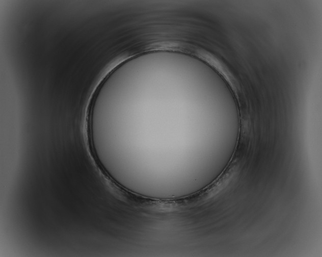 X0000100321050200806190959