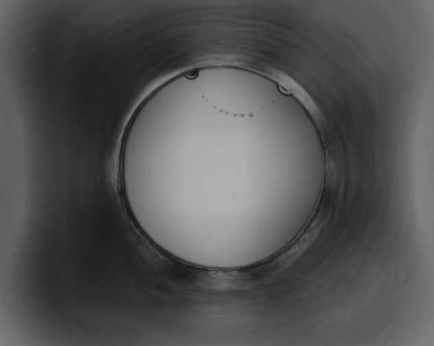 X0000100321052200806190959