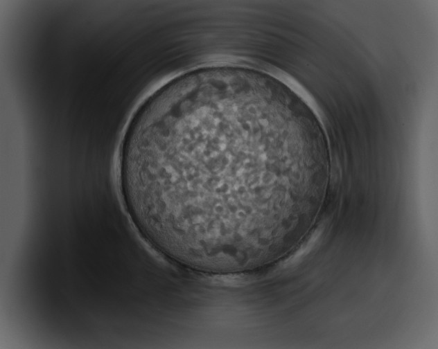 X0000100321053200806190959