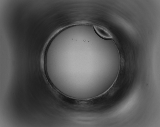 X0000100321054200806190959