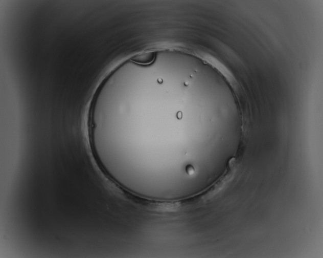 X0000100321055200806190959