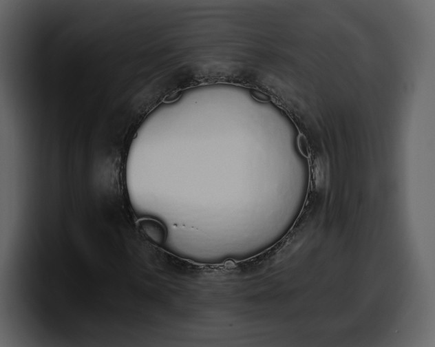 X0000100321059200806190958