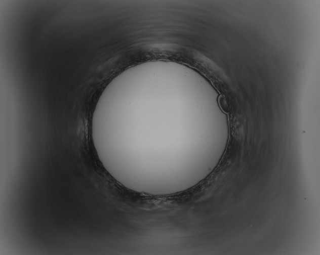 X0000100321061200806190958