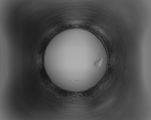 X0000100321062200806190958