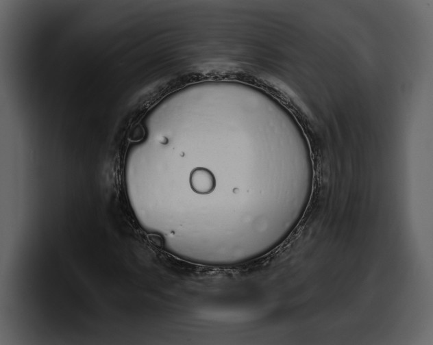 X0000100321063200806190958