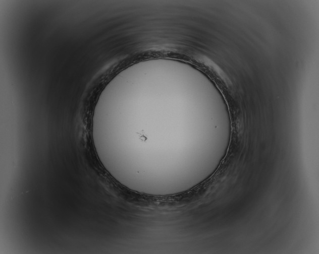 X0000100321064200806190958