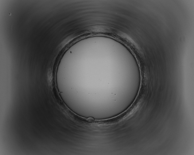 X0000100321065200806190958