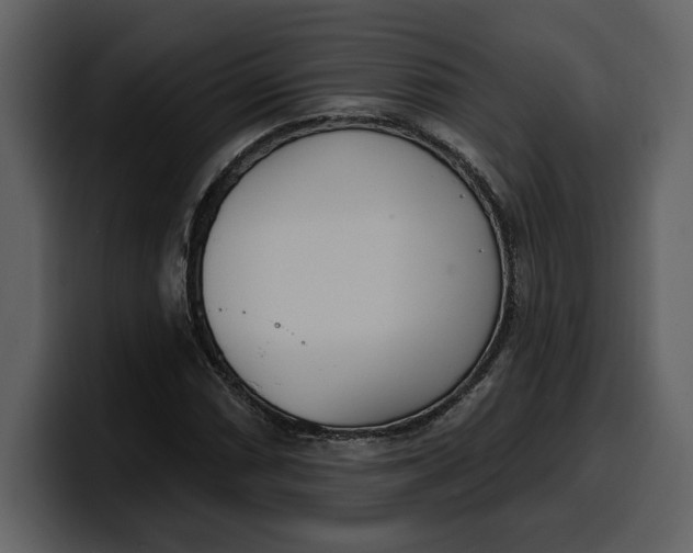 X0000100321066200806190958