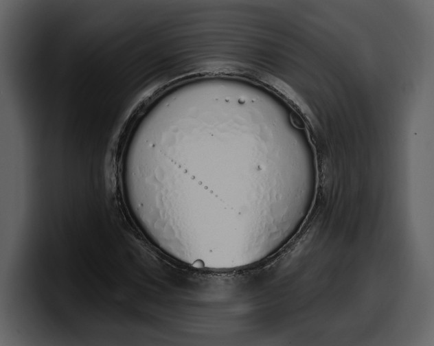 X0000100321067200806190958