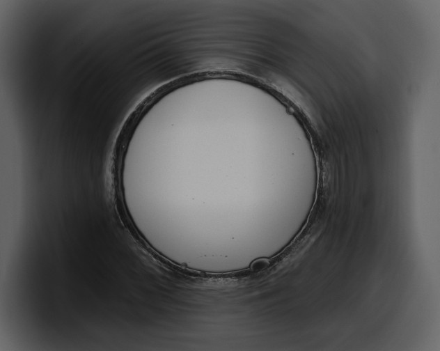 X0000100321068200806190958