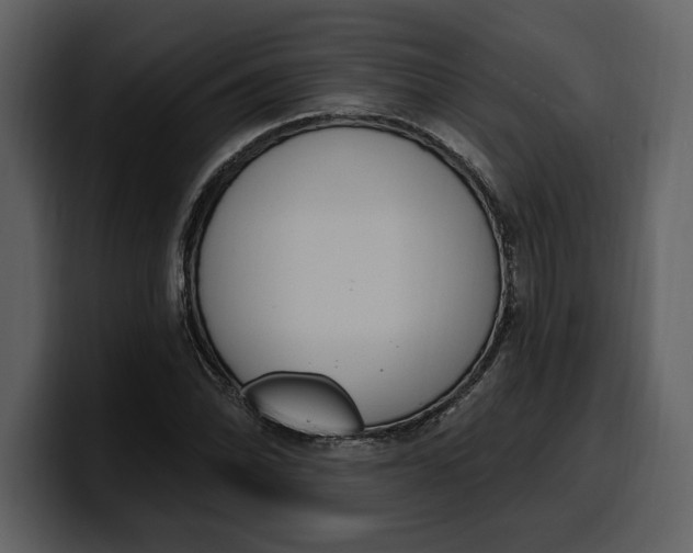 X0000100321070200806190958