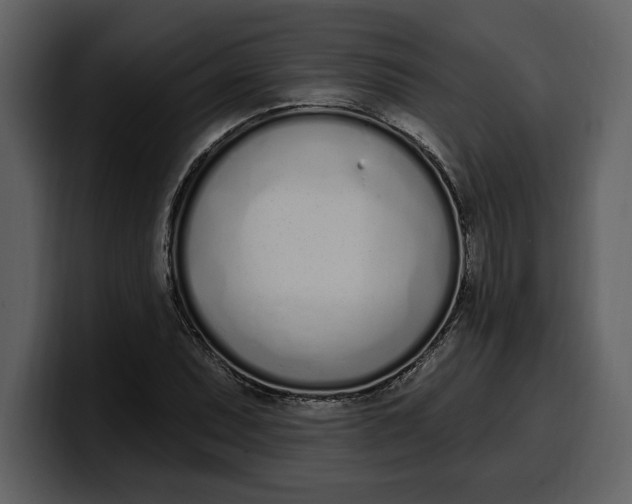 X0000100321071200806190958