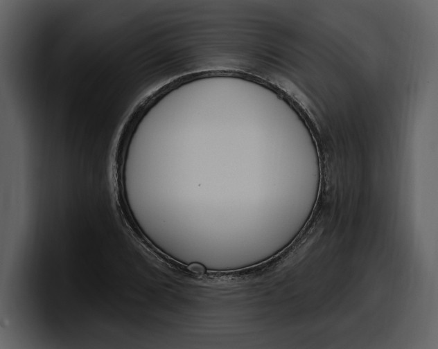 X0000100321072200806190958