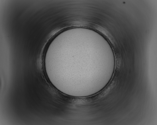 X0000100321074200806190958