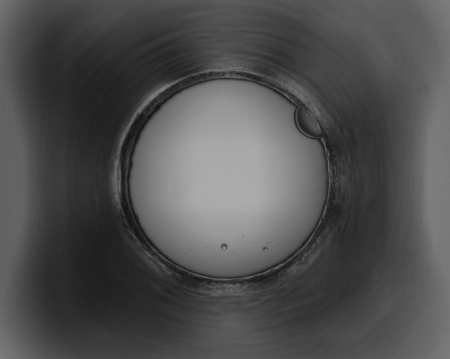 X0000100321076200806190958