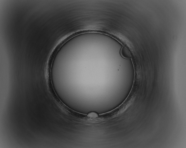 X0000100321077200806190958