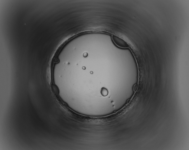 X0000100321079200806190958