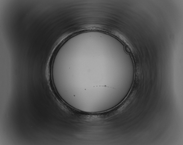 X0000100321082200806190958