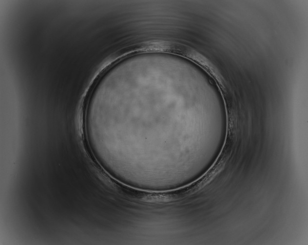 X0000100321083200806190958