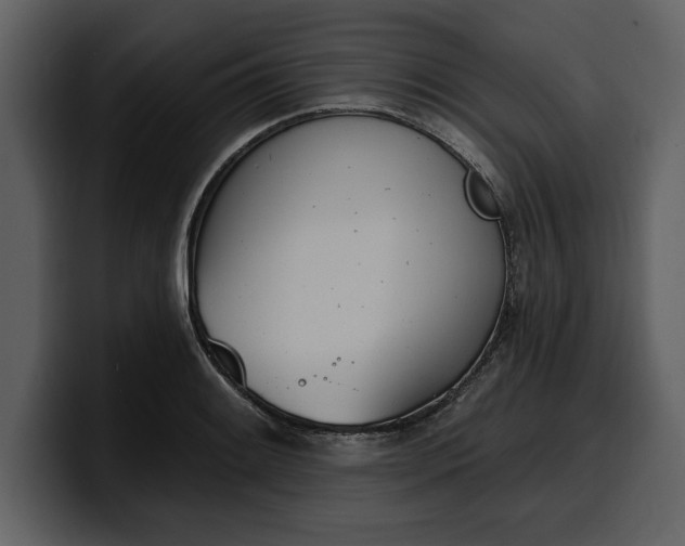 X0000100321084200806190958