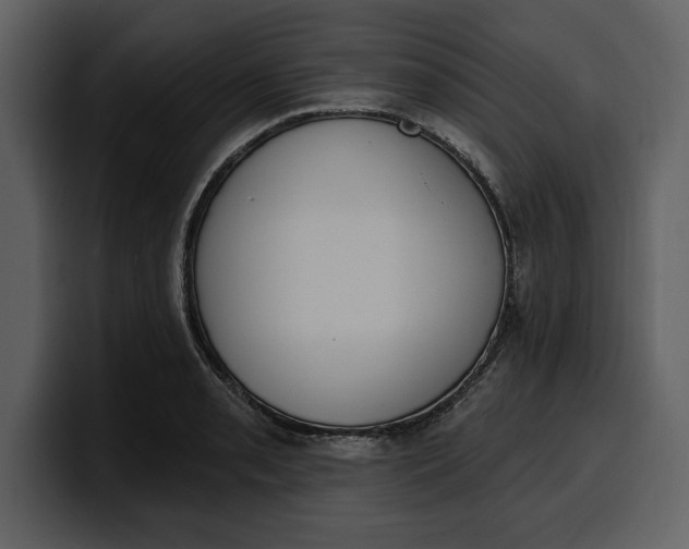 X0000100321085200806190958