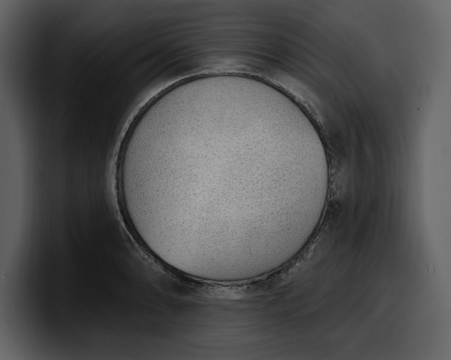 X0000100321086200806190958