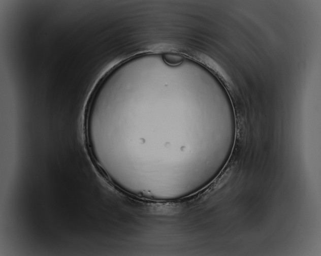 X0000100321087200806190958