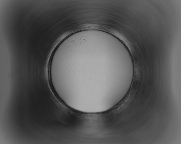 X0000100321090200806190958