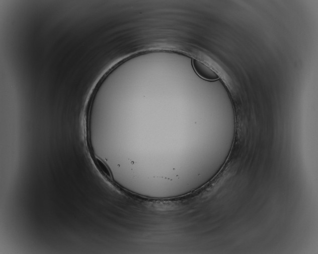 X0000100321092200806190958