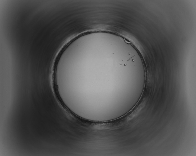 X0000100321093200806190958