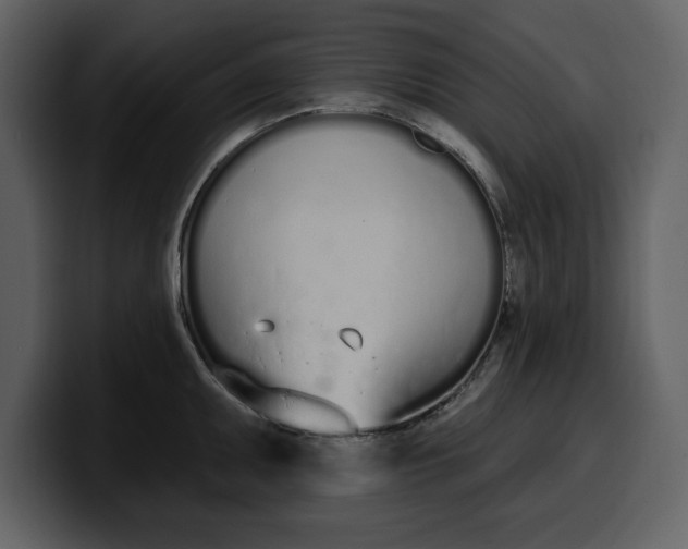 X0000100321095200806190958