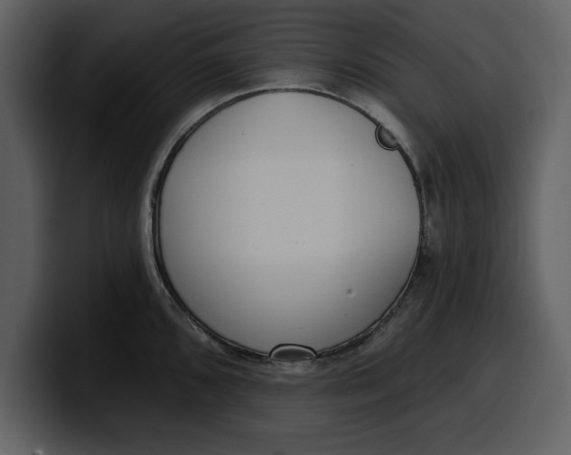 X0000100321096200806190958