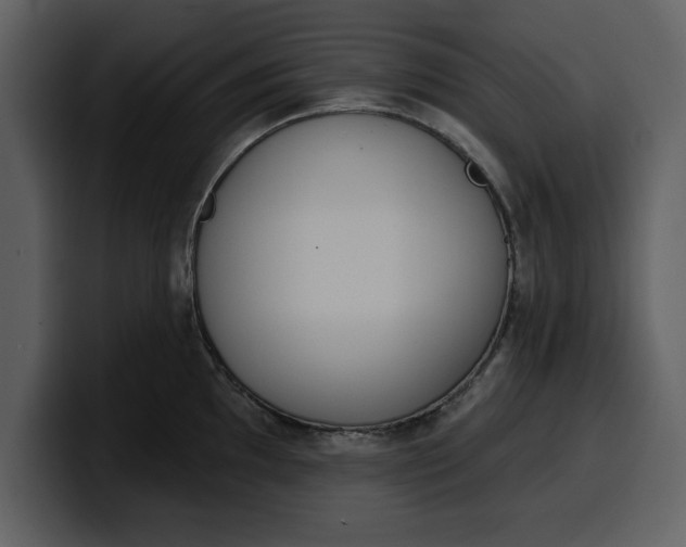 X0000100321097200806190958