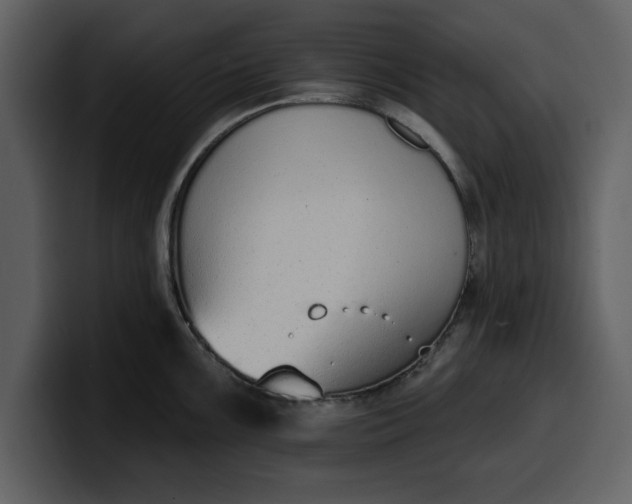 X0000100321099200806190958