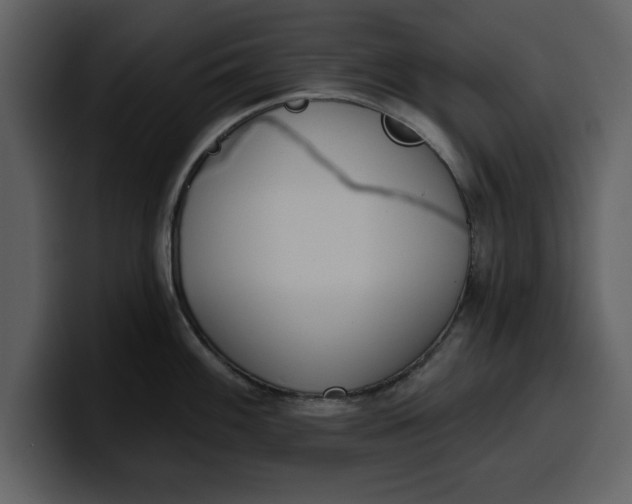 X0000100321100200806190958