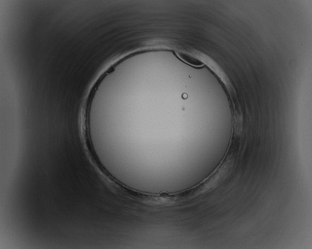 X0000100321101200806190958