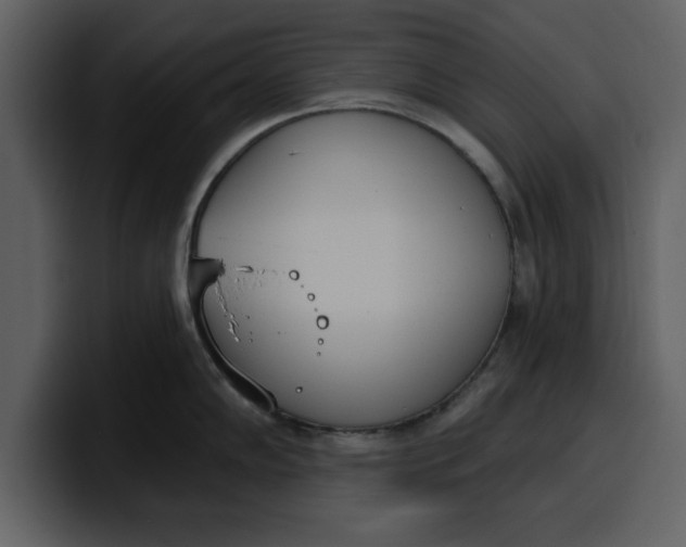 X0000100321102200806190958