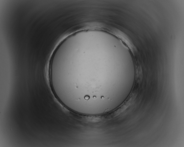 X0000100321103200806190958