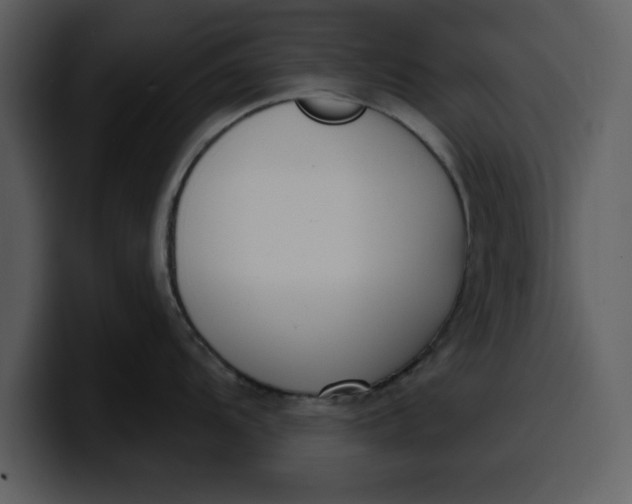 X0000100321104200806190958