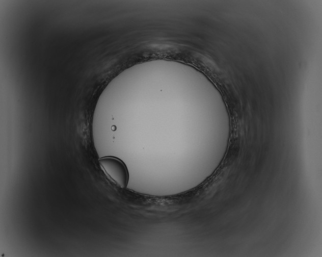 X0000100321109200806190957