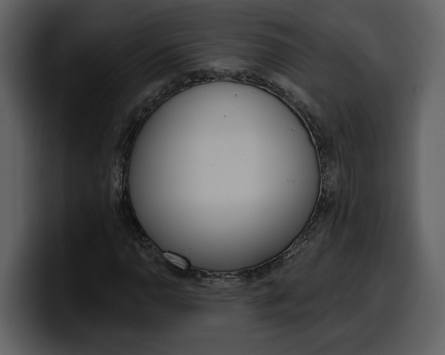 X0000100321110200806190957