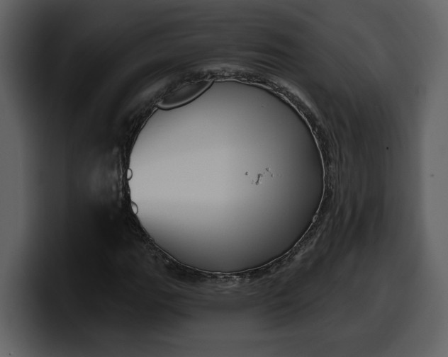 X0000100321111200806190957