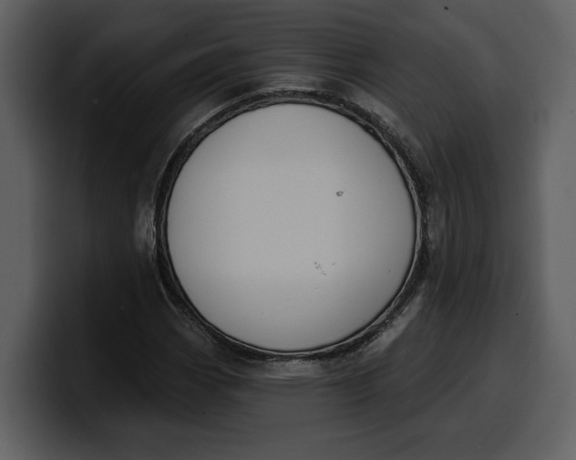 X0000100321113200806190957